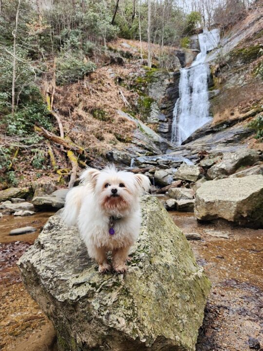 Out on a hike!